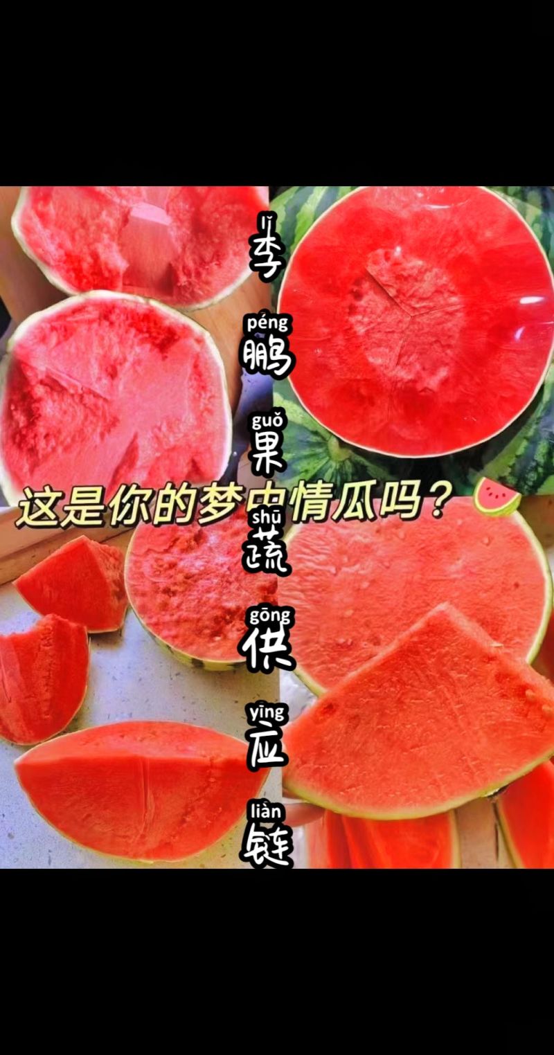 陕西蒲城938小吊兰西瓜、糖度13+一手货源保质保量