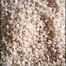 中储粮糙米