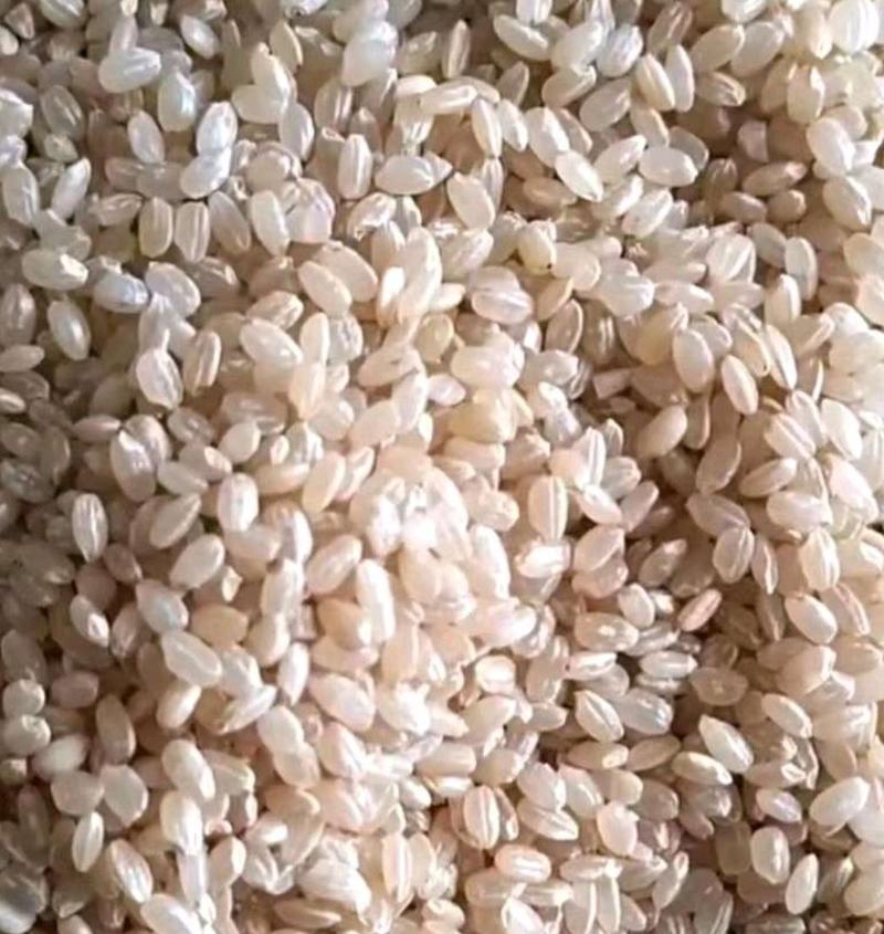 中储粮糙米