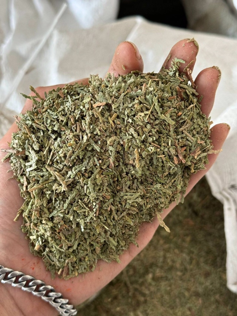 侧柏叶颜色青无杂质过筛货保庆药业发货如图