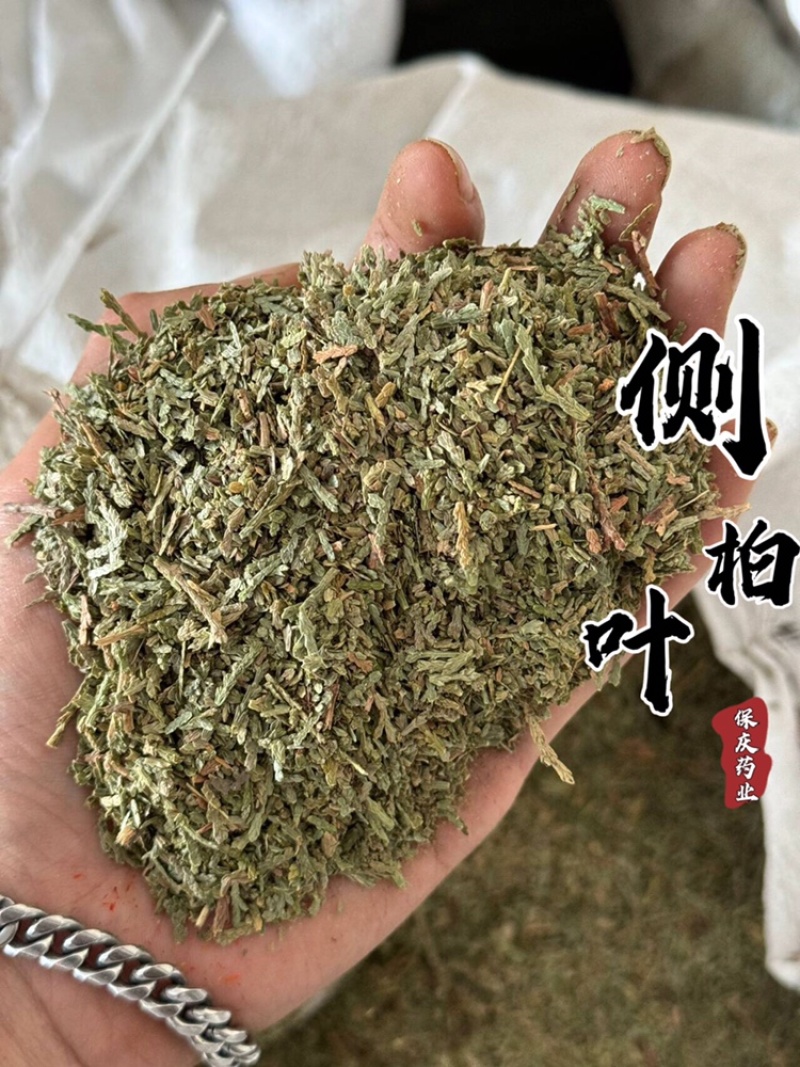 侧柏叶颜色青无杂质过筛货保庆药业发货如图