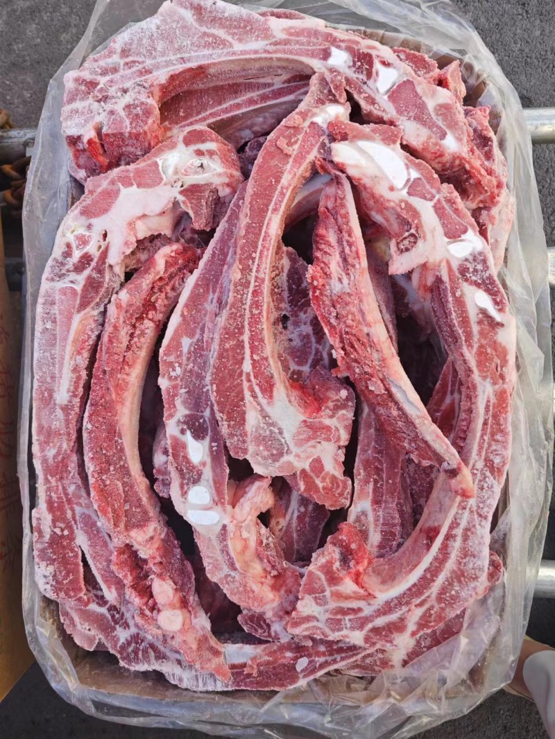 多肉排骨条基地直供品质保证，常年有货