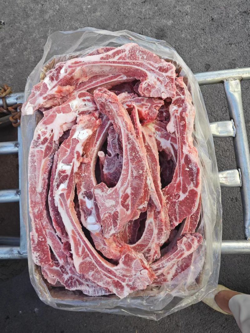 多肉排骨条基地直供品质保证，常年有货