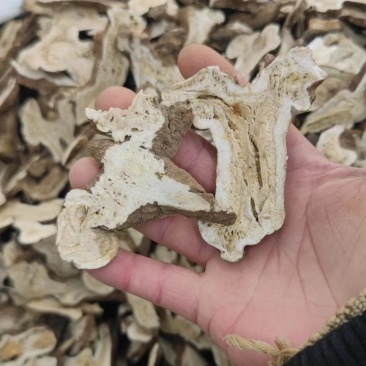 白术片，产地直线，无硫。各种规格，欢迎采购。