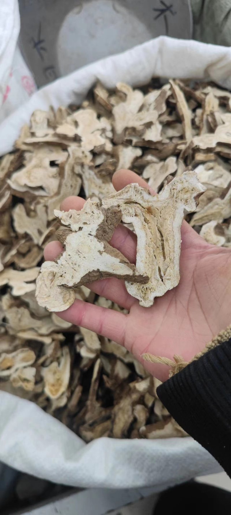 白术片，产地直线，无硫。各种规格，欢迎采购。