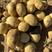 【推荐】湖北精品黄心土豆，一手货源充足，量大从优，规格齐全