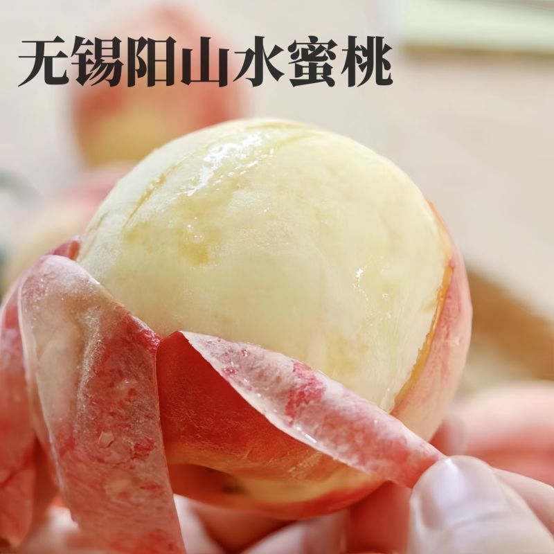 无锡阳山水蜜桃果园直发口感甘甜水多价格优惠