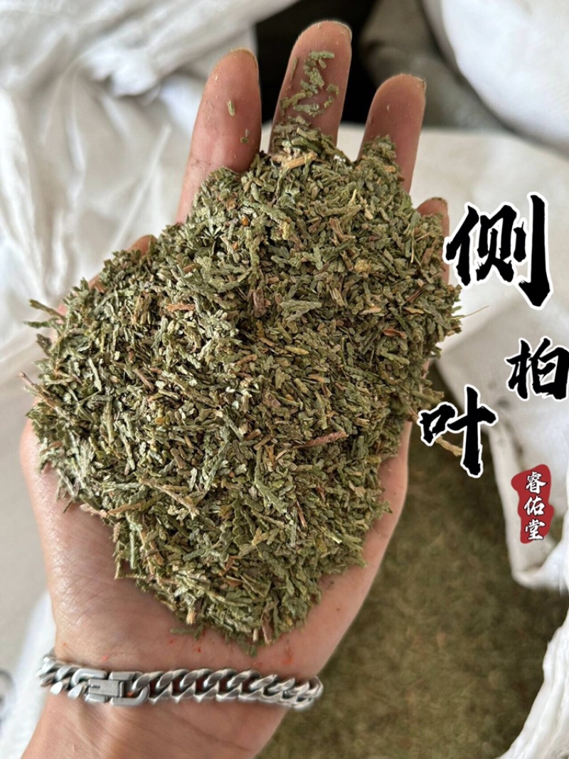 侧柏叶无杂质过筛货干净颜色青侧柏叶睿佑堂