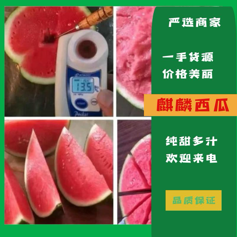 美都西瓜7斤打底8成熟皮薄瓤红欢迎来电咨询