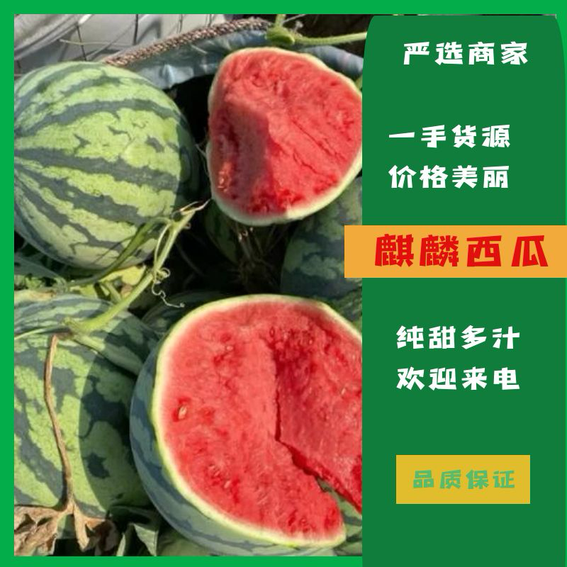 [美都西瓜批发]云南德宏盈江县西瓜 1.50元/斤美都西瓜 6斤 _ 一亩田