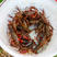 洪湖鱼米之乡生态清水清壳淡水鲜活小龙虾