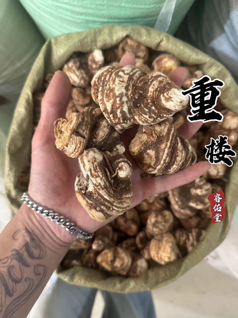 重楼七叶一枝花干货重楼实拍正品滇重楼个头大