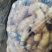 生姜，山东优质大黄姜，小黄姜大量现货，欢迎选购