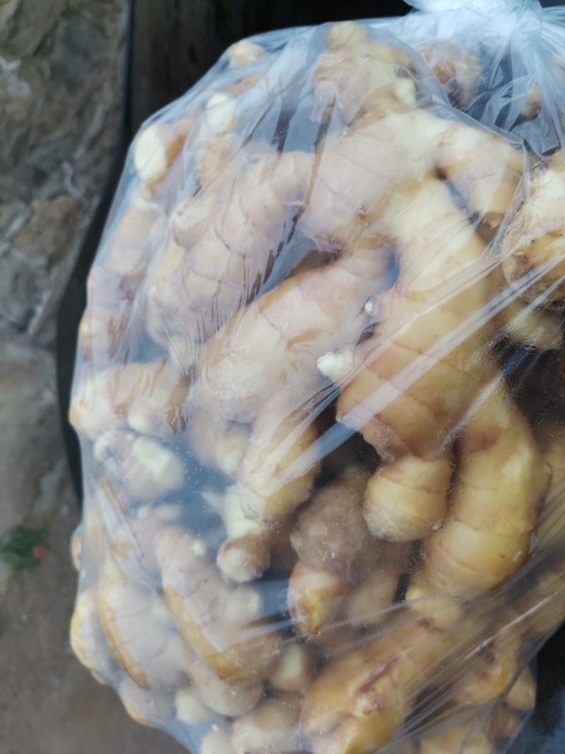 生姜，山东优质大黄姜，小黄姜大量现货，欢迎选购