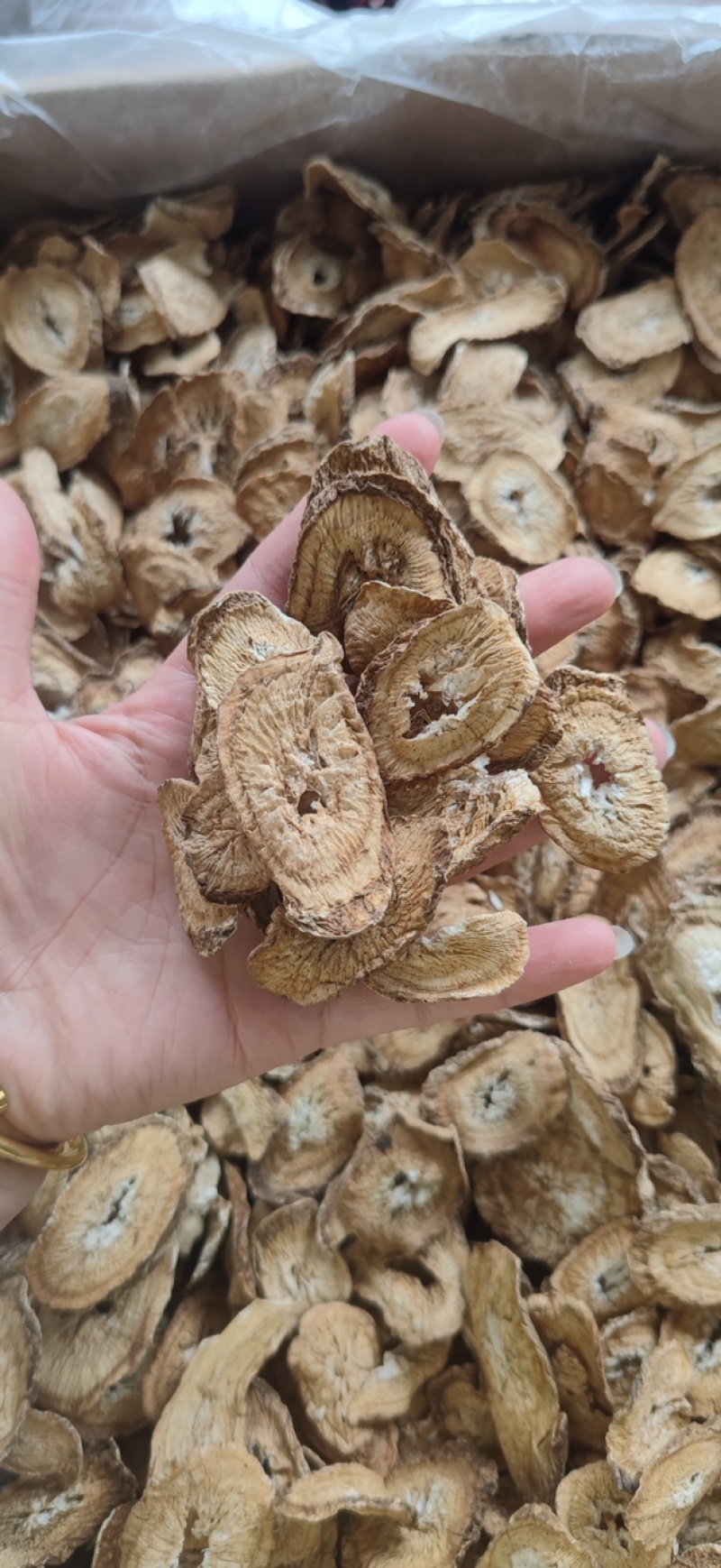 牛蒡根牛蒡茶黄金牛蒡炒牛蒡实拍另有牛蒡子