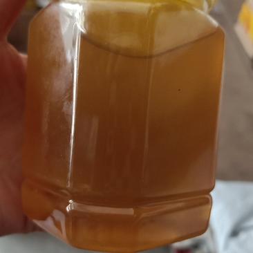 中华土蜂蜜