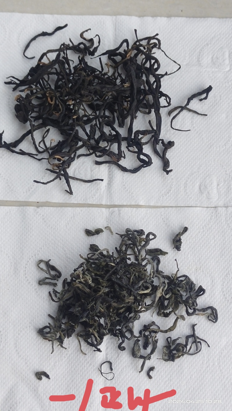 生态绿茶