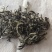 生态绿茶