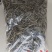生态绿茶
