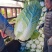 精品黄心白菜大量上市品质保证量大从优欢迎联系
