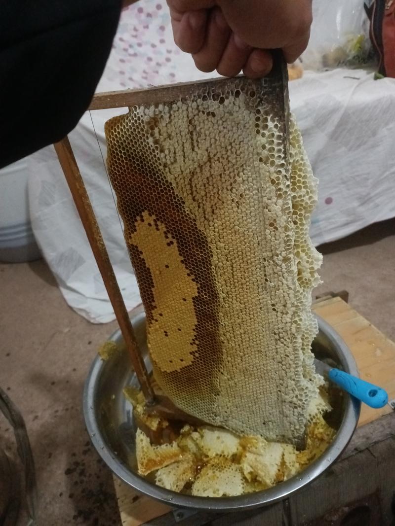 中华蜜蜂蜂蜜