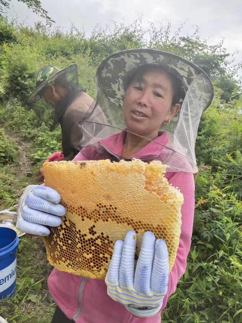 高原天然无污染土蜂蜜无添加波美度41-43度每年一季