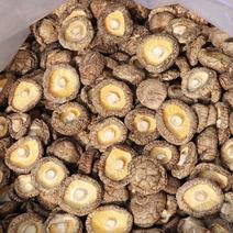 香菇干货批发500g新鲜肉厚无根干香菇菌蘑菇