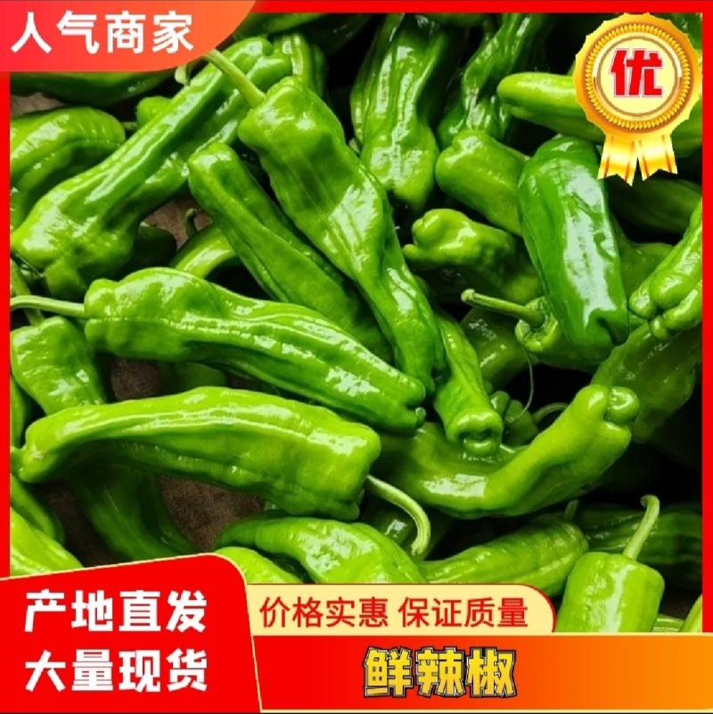 《热卖》埇桥芜湖辣椒/薄皮大辣椒/螺丝椒/当天采摘产地直供