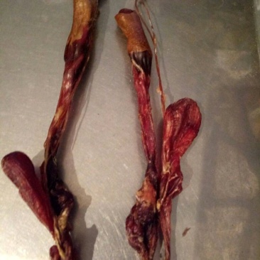 狗肾无硫干货散装泡酒药用都可以2支起包邮