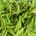 【豌豆】青碗豆新野豌豆产地批发支持代发视频看货