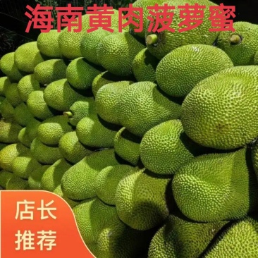 海南黄肉菠萝蜜一手货源视频看货以质论价欢迎咨询