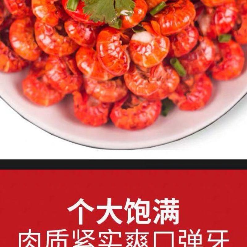 无冰衣龙虾尾现剥特级活虾龙虾虾球小龙虾鲜活速冻海鲜水产批发