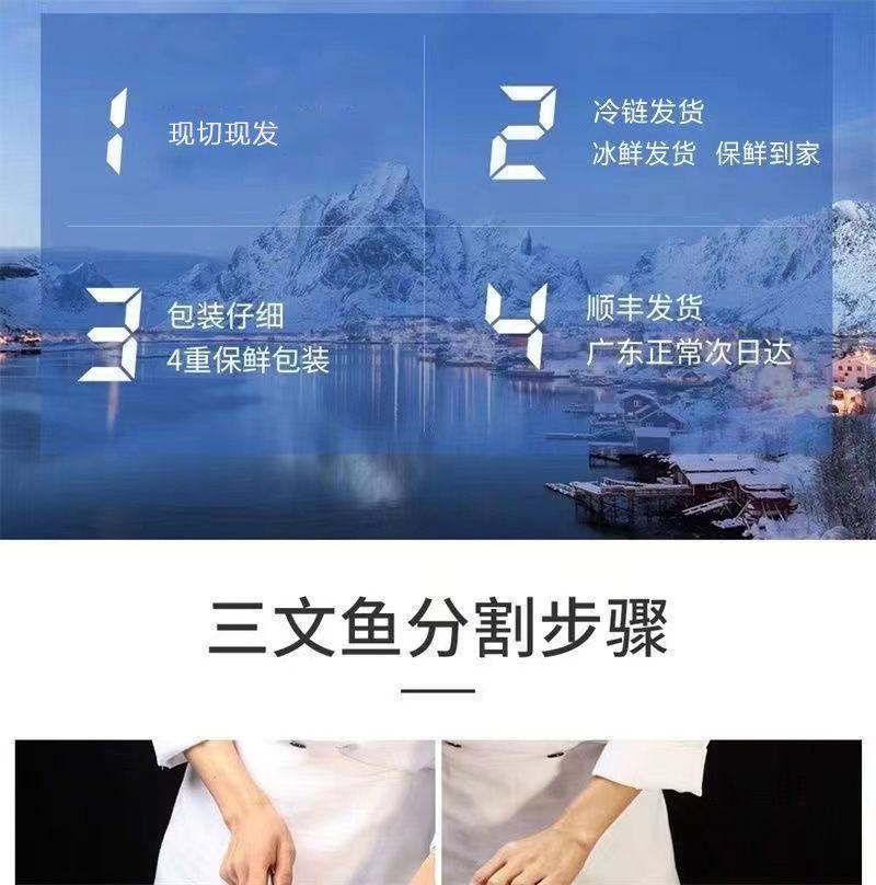 三文鱼冰鲜三文鱼新鲜冷冻现切日料寿司中段即食冰鲜
