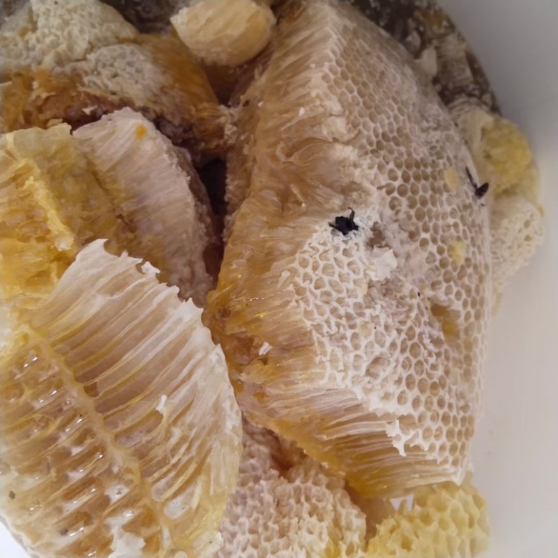 云南蜂蜜野生大挂蜂蜜大排蜜一手货源量大联系