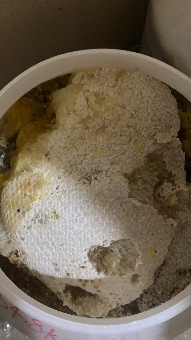 云南蜂蜜野生大挂蜂蜜大排蜜一手货源量大联系