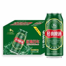 青岛经典精酿啤酒500ml12罐欢迎电联视频