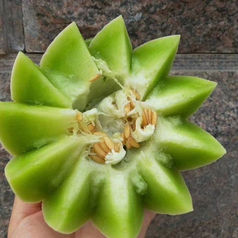 【推荐】冰清玉菇甜瓜大量上市中实力代办可视频看货全国发货