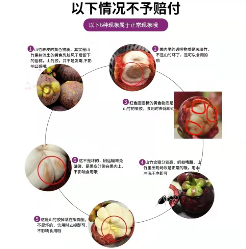 泰国进口山竹/社区团购/直播平台/淘宝/拼多多代发