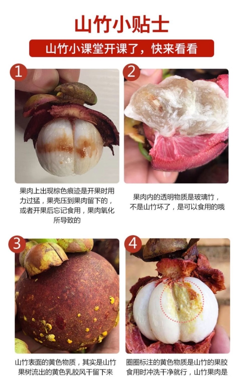 泰国进口山竹/社区团购/直播平台/淘宝/拼多多代发