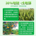 明德立达明润丰唑醚戊唑醇炭疽病锈病大斑病杀菌剂