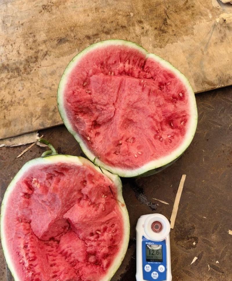 西瓜8424甜瓜美都有籽无籽瓜麒麟西瓜产地大量上市质量保证
