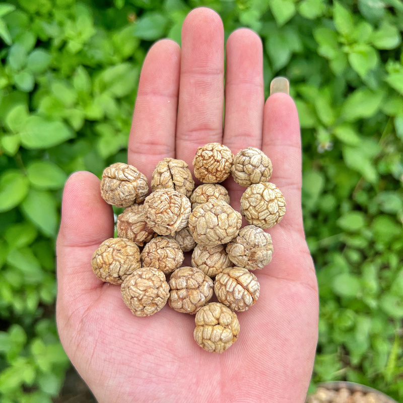 优质大草寇香料当季新货调料香料批发量大更优惠