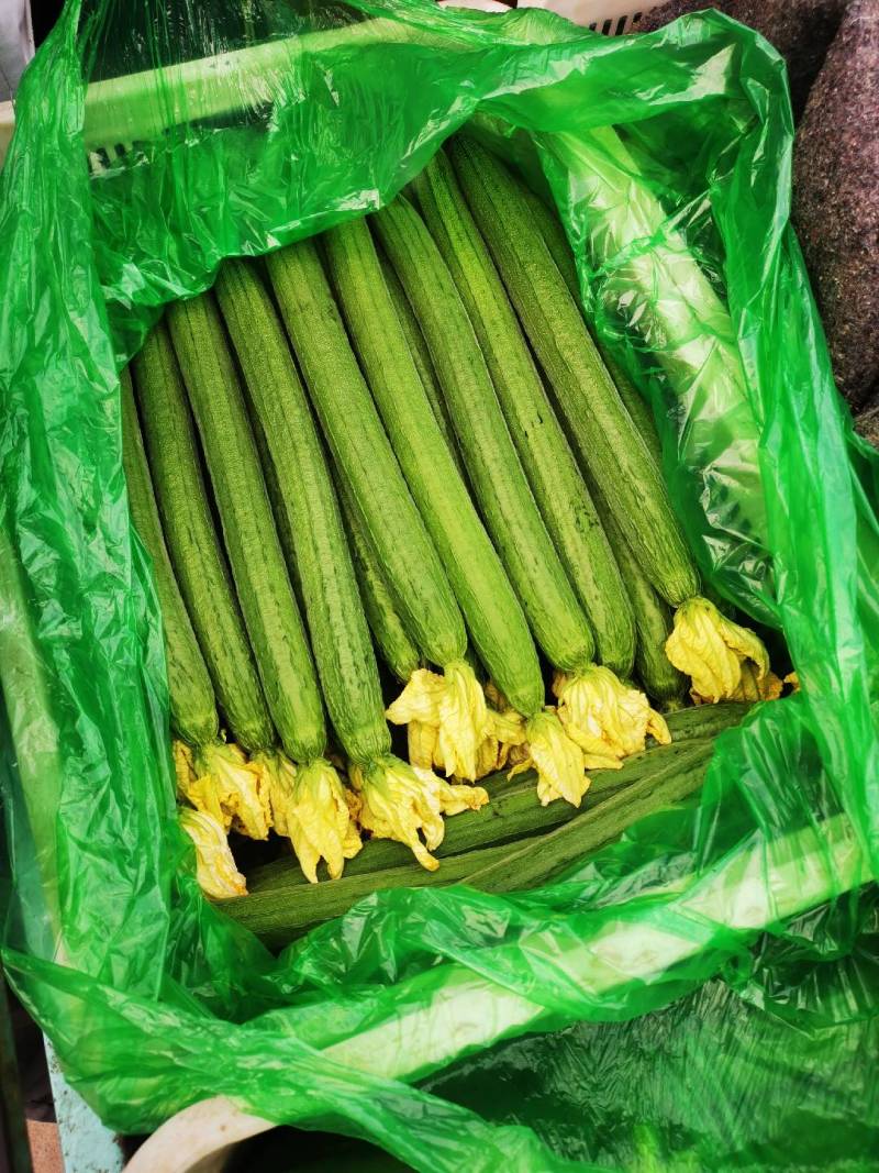 鲜花丝瓜，千亩基地，条直一花鲜，直至秋天，欢迎新老顾客回购