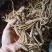仙茅新鲜包邮，