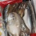 海杂鱼水产杂拌鱼海鱼速冻腌制餐饮半成品500克每袋X10