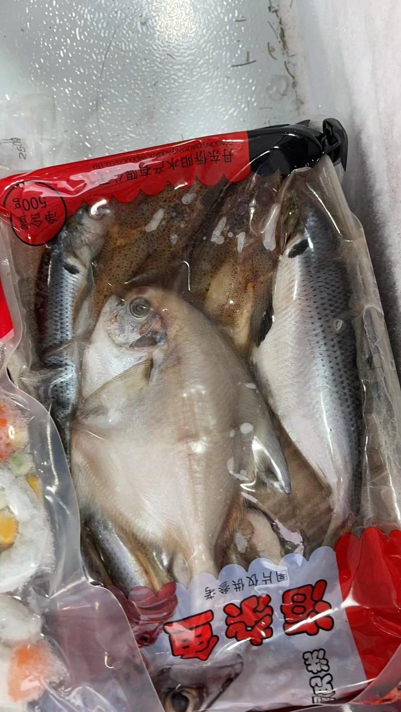 海杂鱼水产杂拌鱼海鱼速冻腌制餐饮半成品500克每袋X10