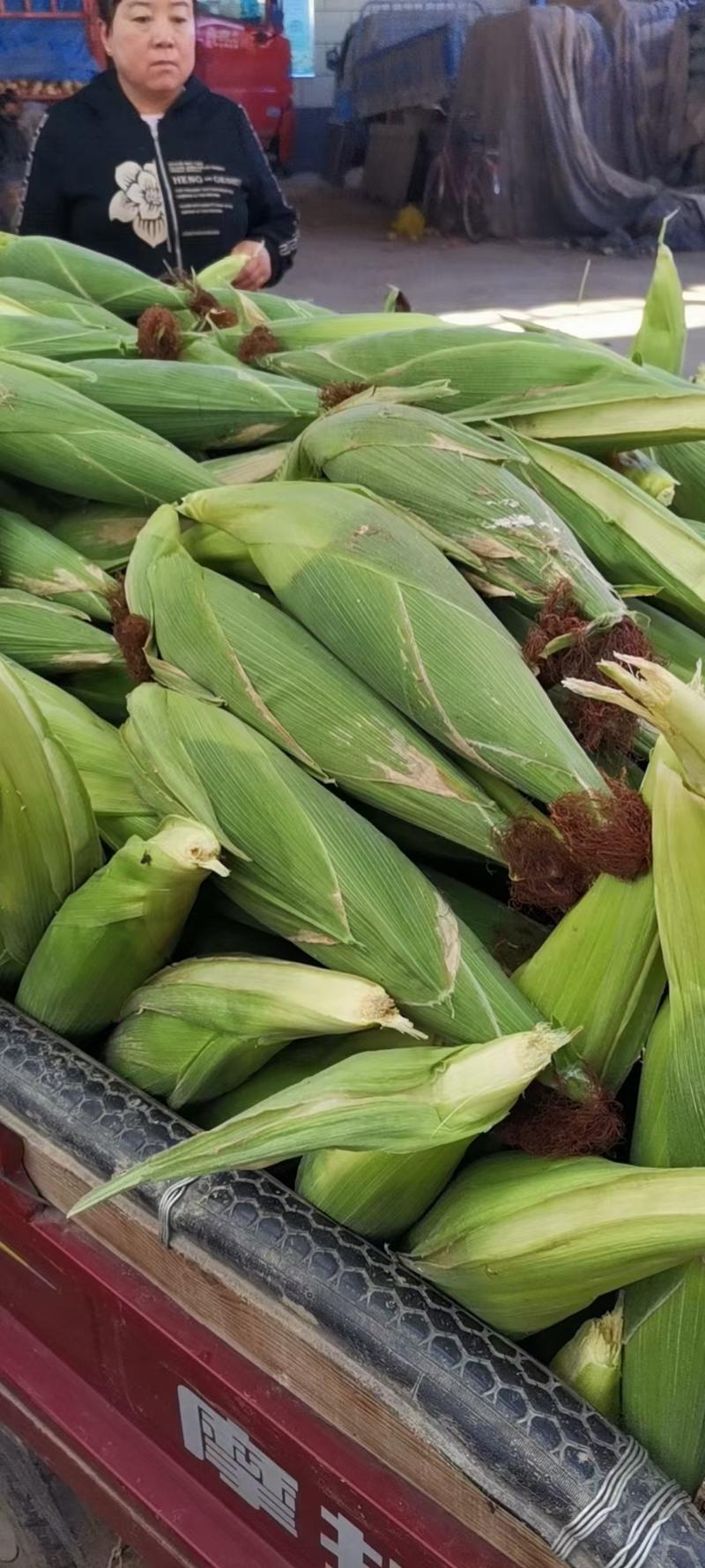 鲜玉米🌽，水果玉米，太阳花水果玉米