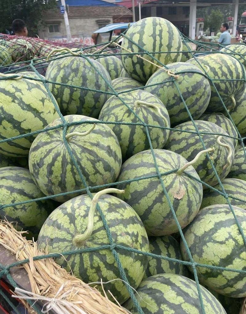 【严格筛选】精品美都西瓜包熟包甜量大从优全国发货