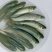 《推荐》长江一号草鱼苗鱼场孵化提供技术指导专车送货到家
