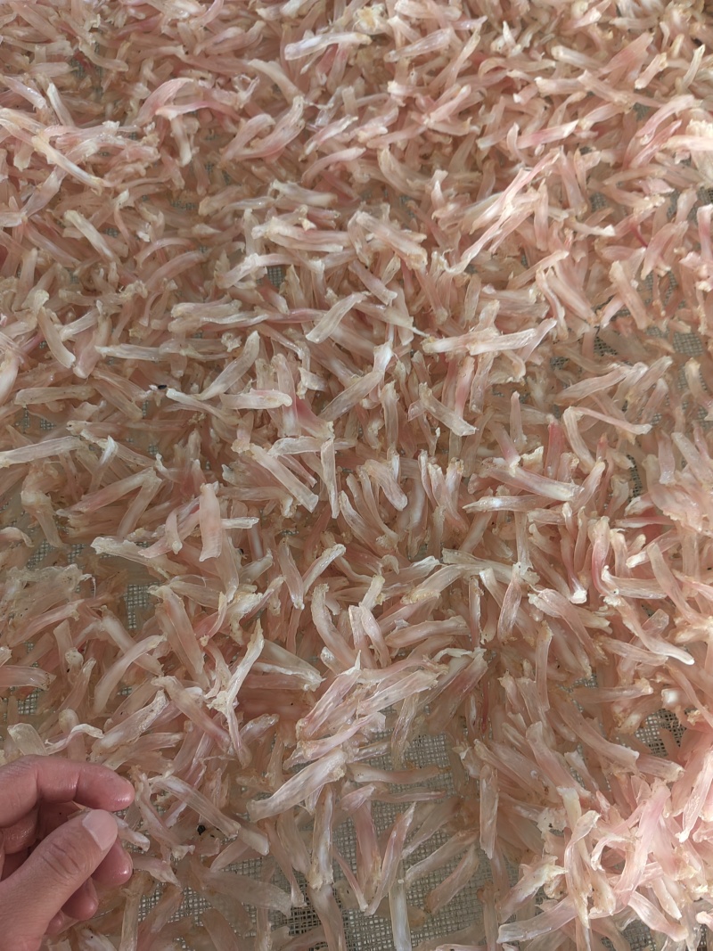 猪蹄筋寸筋